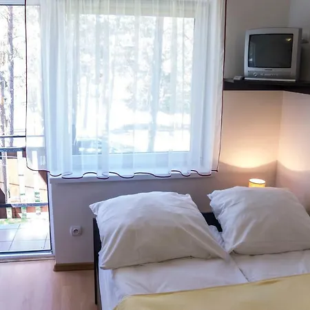 Homestay Magador